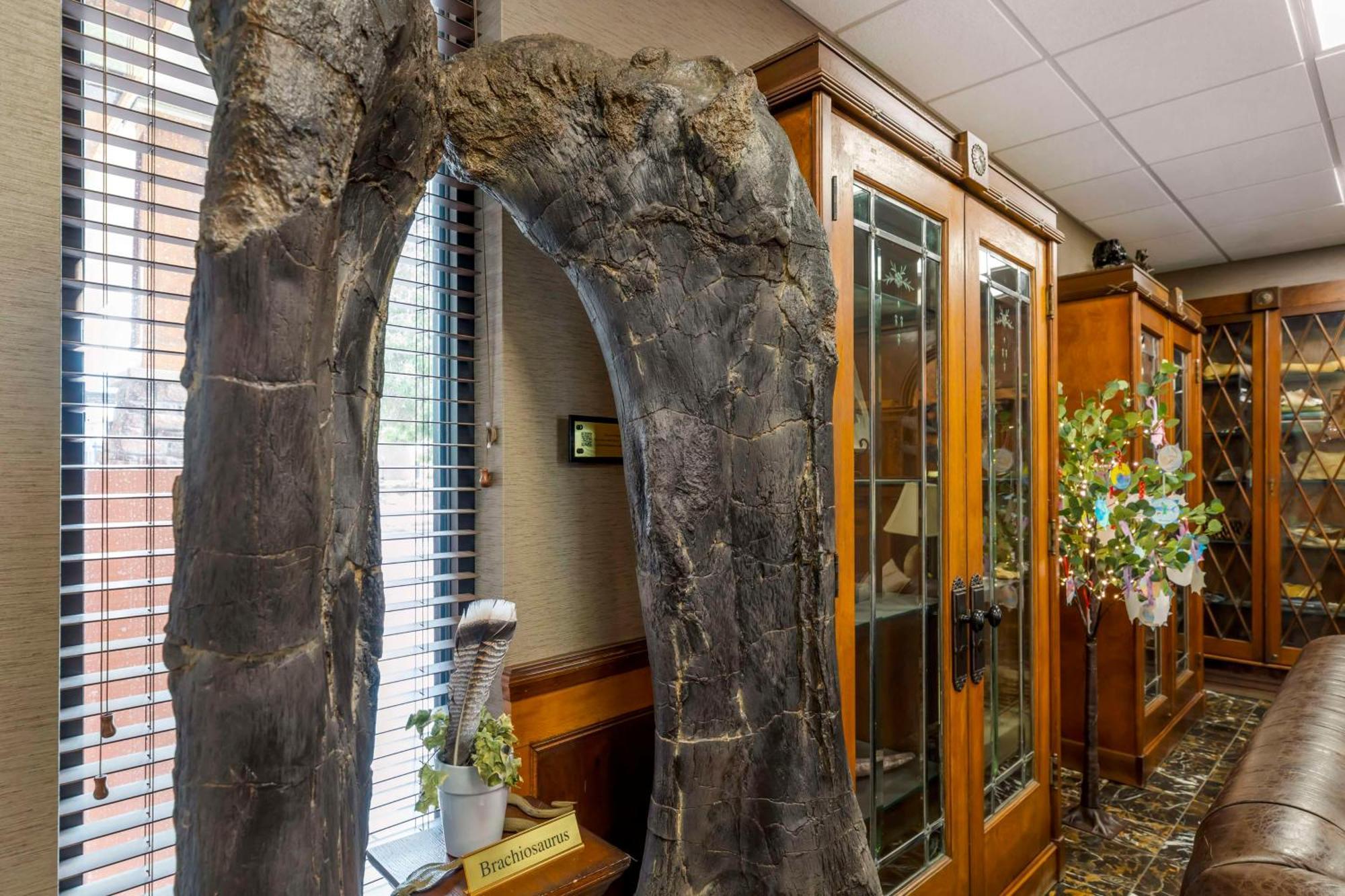 Best Western Denver Southwest Lakewood Buitenkant foto